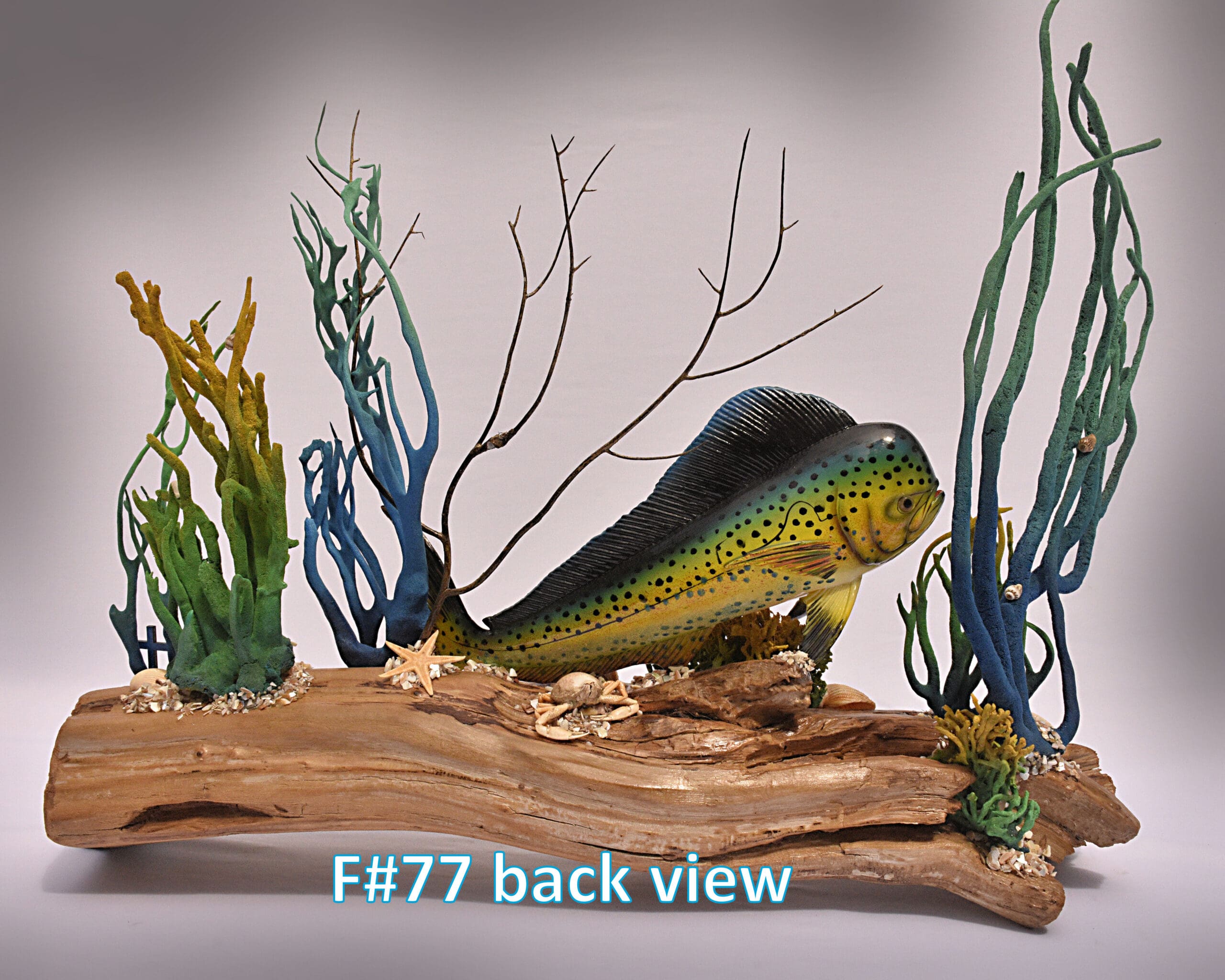 F#77 BACK view