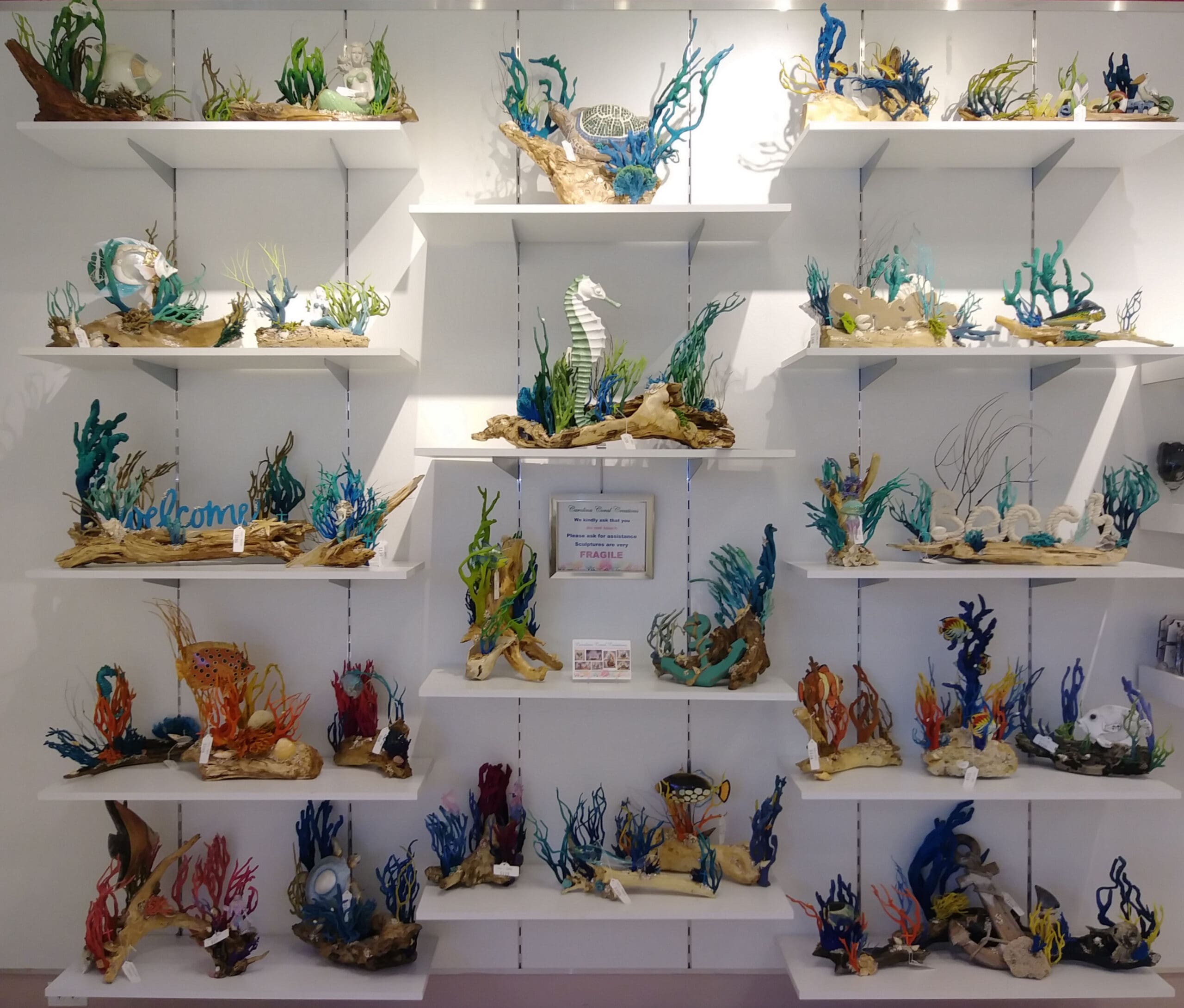 coral shelf display